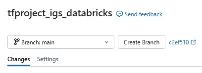 Databricks Git panel showing Changes and Settings tabs with a Create Branch option